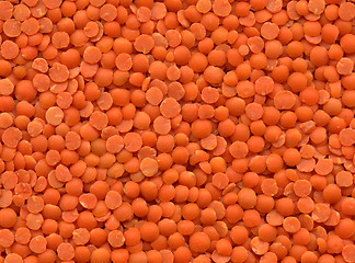 Image showing Lentils texture