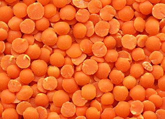 Image showing Lentils texture