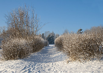 Image showing Winter alley