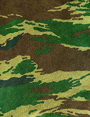 Image showing Camouflage texture