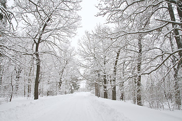 Image showing Winter alley