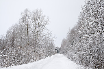 Image showing Winter alley