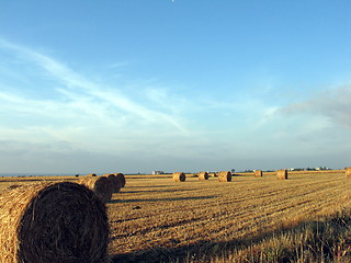 Image showing Summer time. Cyprus