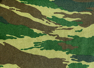 Image showing Camouflage texture