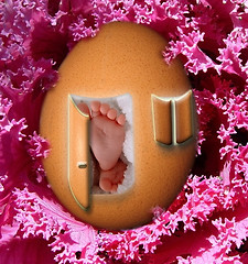 Image showing birth girl