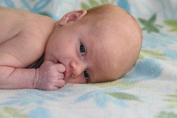 Image showing Baby