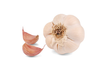Image showing Garlic on White