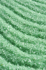 Image showing Green crystals of sea salt