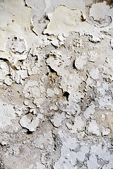 Image showing Pealing paint - wall