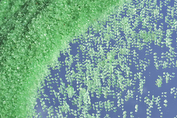 Image showing Green crystals of sea salt