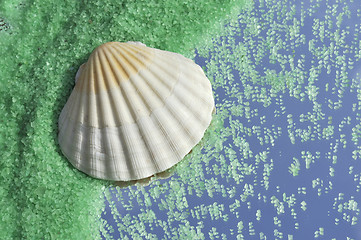 Image showing Green crystals of sea salt and shell