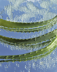 Image showing Aloe and green crystals of sea salt