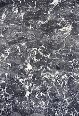 Image showing Polished marble texture