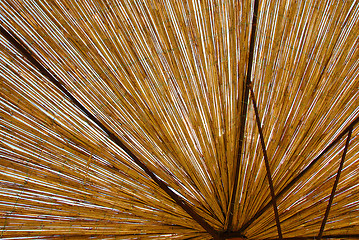 Image showing Straw umbrella texture