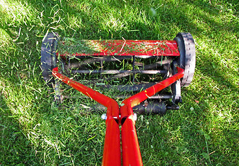 Image showing Lawn mowing