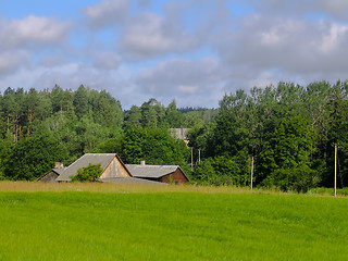 Image showing A farm in the country