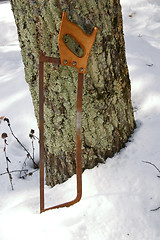 Image showing Old Saw