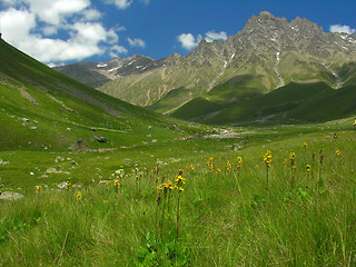 Image showing Mountain meadow