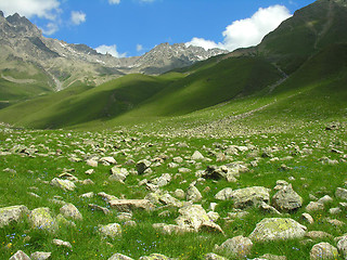 Image showing Scattered stones