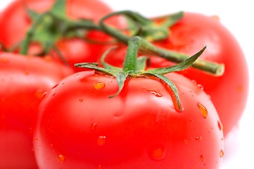 Image showing Tomatos