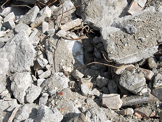 Image showing Debris