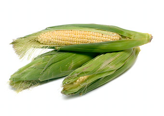 Image showing Corncob Vegetables isolated on white