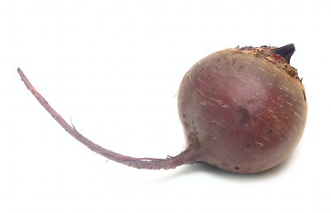 Image showing Beet Vegetable isolated on white