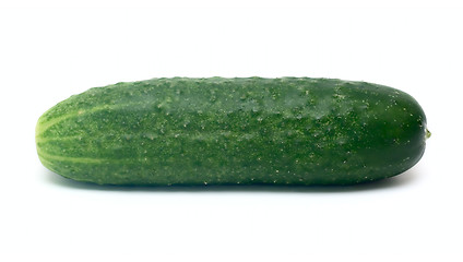 Image showing Cucumber vegetable isolated on white