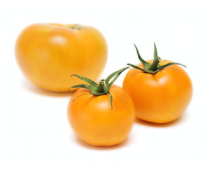 Image showing Tomato Vegetables isolated on white