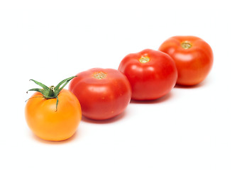 Image showing Tomato vegetable isolated on white