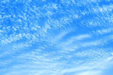 Image showing A Flock of Clouds