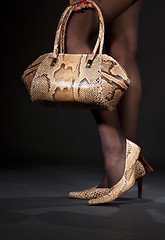 Image showing snakeskin shoes and handbag
