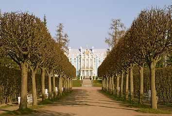 Image showing View of park in Pushkin