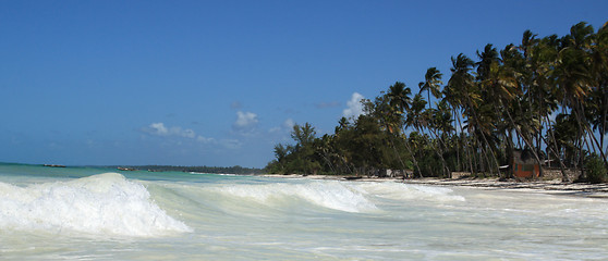Image showing breaking waves alongside tropical beach