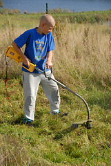 Image showing mowing lawn