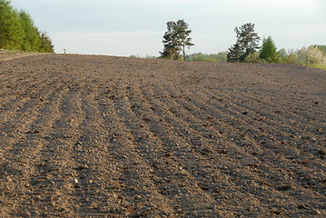 Image showing Tillage