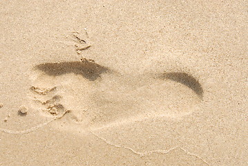 Image showing Footprint in the sand on a beach