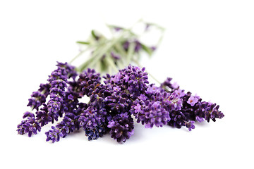 Image showing lavender flowers