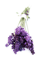 Image showing lavender flowers