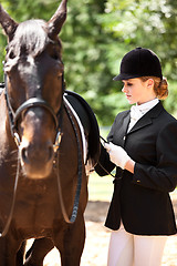 Image showing Horseback riding girl