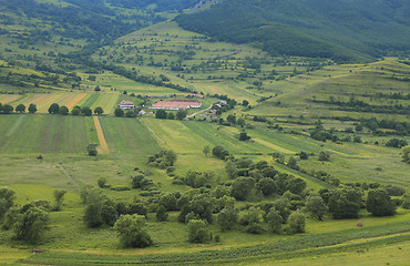 Image showing The farm