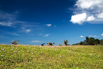 Image showing Beach view