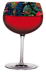 Image showing wine glass
