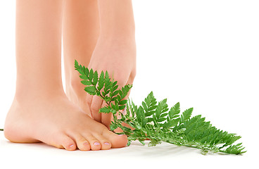 Image showing female feet with green leaf