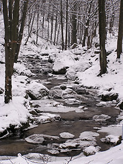 Image showing Winter Forest Creek