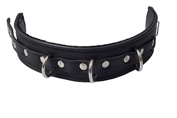 Image showing Black leather collar with 3 rings