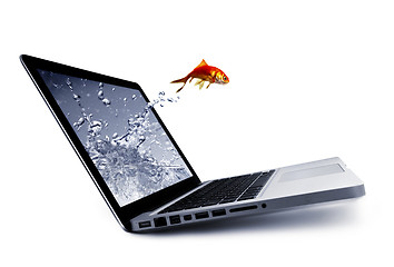 Image showing Goldfish jump out of the monitor
