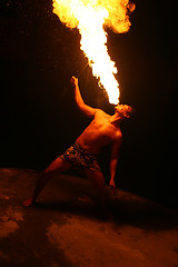 Image showing PHUKET - AUGUST 11: Phuket Stunt Show performer rehearses for th