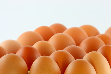 Image showing egg; object on a white background