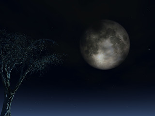 Image showing full moon